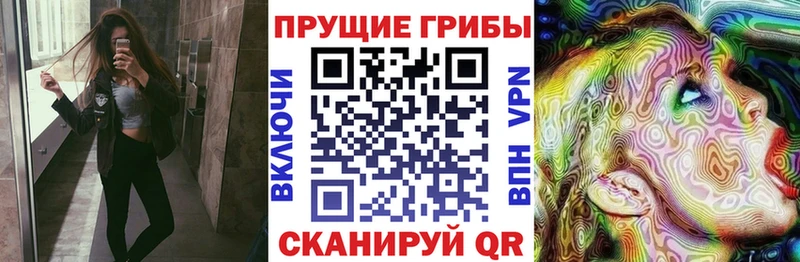 Галлюциногенные грибы Psilocybe  Никольск 